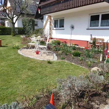Lemke Donaueschingen